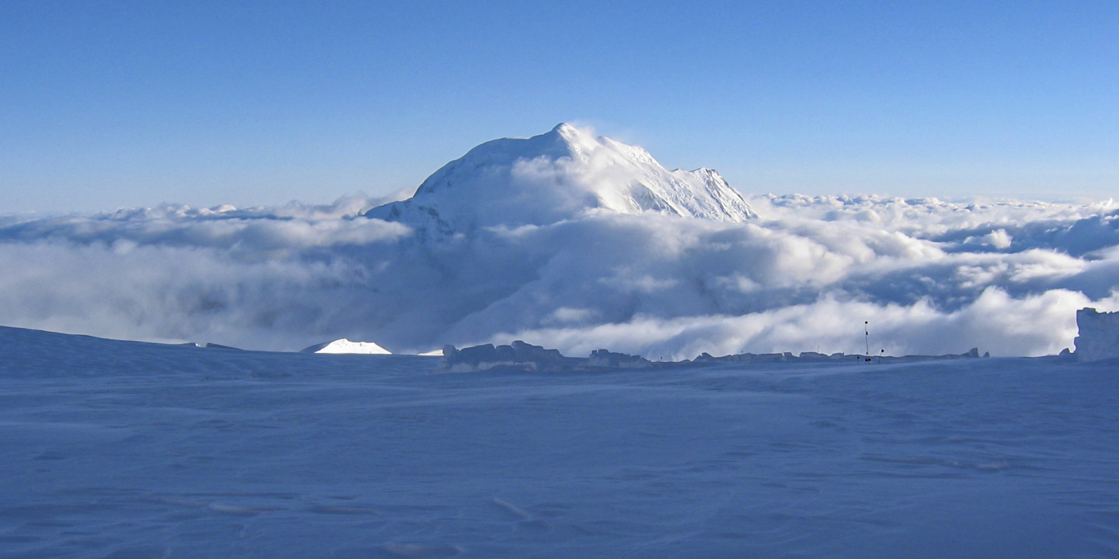 Foraker
